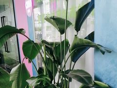 -CIAO·团建聚餐·生日派对轰趴馆(福田店)