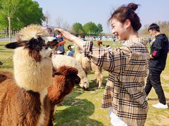 -大连铭湖国际观光牧场