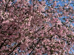 -南京市江宁方山