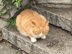 -云龙山