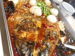 -鱼酷活鱼烤鱼(沈阳大悦城店)