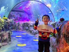 -沈阳海洋探索中心