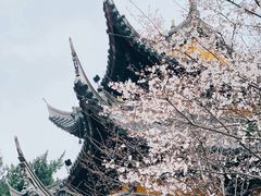 -龙华寺