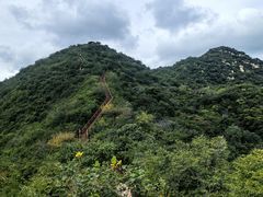 -大岭沟猕猴桃谷风景区