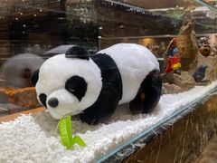 -红辣椒·川菜·火锅(大洋中心店)