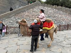-雁门关景区