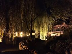 -颐和宾馆宴会厅