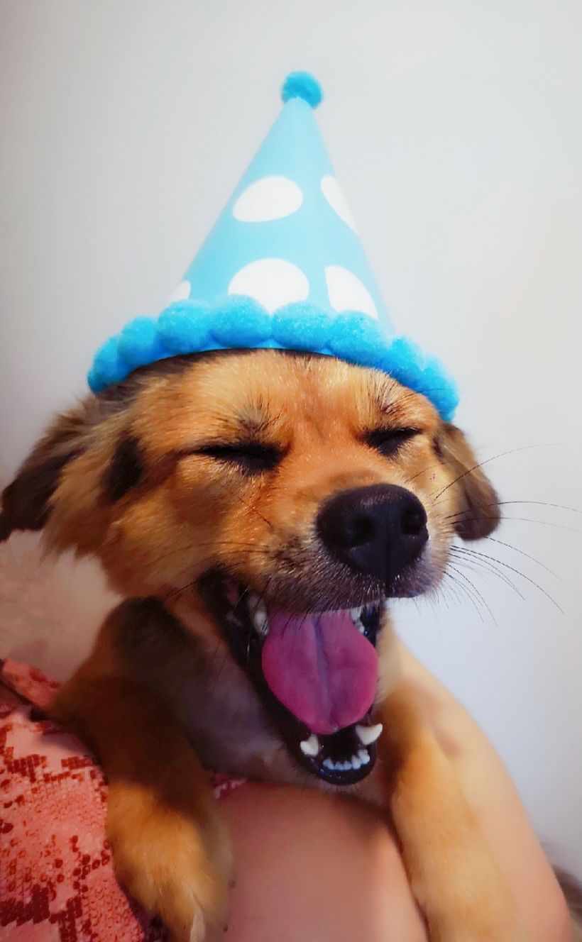 小和尚和二师兄开车专门去李家沱接的你俩. 见到第一眼,丑乖丑乖的.