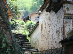-杨家堂村