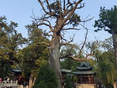 -晋祠公园