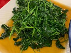 -光头老板·本帮菜