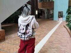 -香港大学