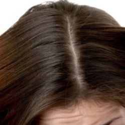 -Bollins波林丝•专研护发中心