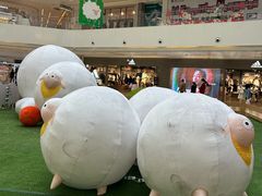 -阳光天地