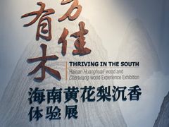 -中国（海南）南海博物馆