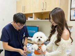-美联众合动物医院·24h京西诊疗中心