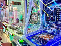 -探险阳光乐园(东区利和店)