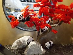 -红辣椒·川菜·火锅(张杨路店)