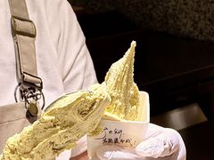 -野人先生Gelato(上海长宁龙之梦店)