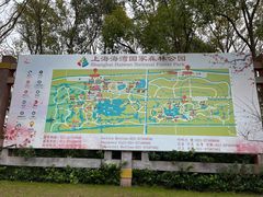 -上海海湾国家森林公园