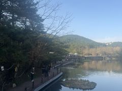 -庐山风景区花径公园