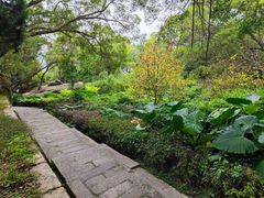 -青芝山风景名胜区