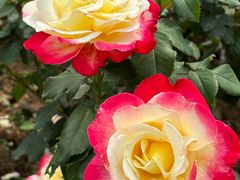 -人民公园(罗湖区)