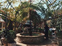 -The Grounds of Alexandria