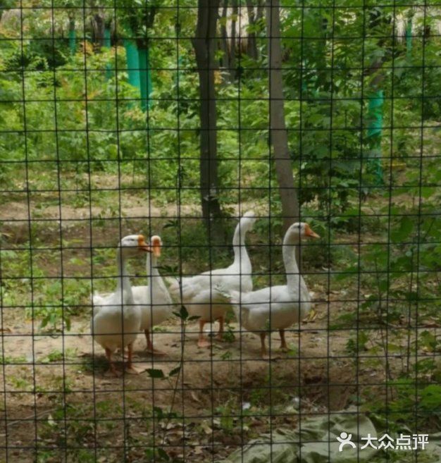 六一儿童节·带宝宝感受自然风光·团购有优惠
