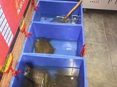 -状元甲·湖北甲鱼大王(汉口火车站店)