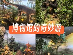 -陕西自然博物馆