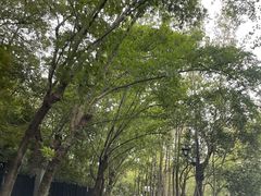 -狼山风景名胜区