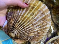 -四海蒸鲜蒸汽海鲜自助(北戴河店)