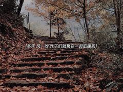 -会稽山峡洞漂流-上青古道