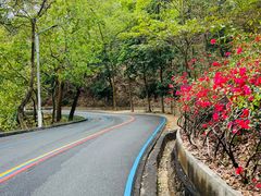 -红花湖景区