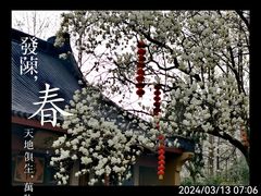 -杭州上天竺法喜讲寺