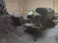-宁波野生动物园