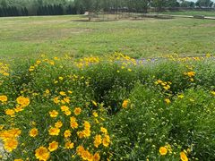 -汉长安城未央宫国家考古遗址公园
