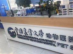 -中国农业大学动物医院