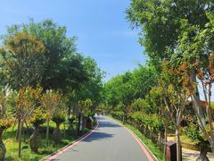 -武汉紫薇都市田园