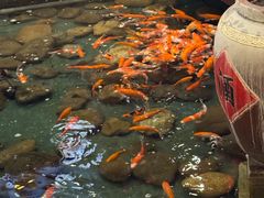 -潇湘甲鱼村(清河店)