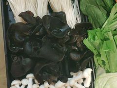 菌类拼盘-阳坊胜利涮羊肉(阳坊老店)