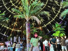 -三亚海昌梦幻海洋不夜城