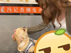-冯记香辣兔火锅(茶店子总店)