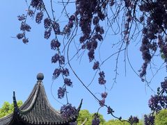 -西园戒幢律寺