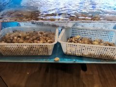 -长沙北辰洲际酒店-兰调全日餐厅