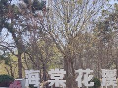 -海棠花溪(元大都城垣遗址公园)