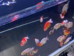 -三旗百汇商品城