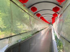 -华蓥山天意谷景区