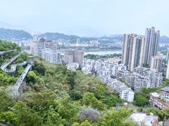 -福道